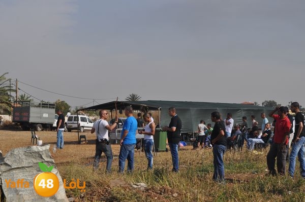 fireludkartoonmasna34 (25).JPG